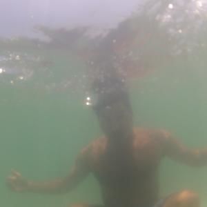 Meet your Posher, Bernie